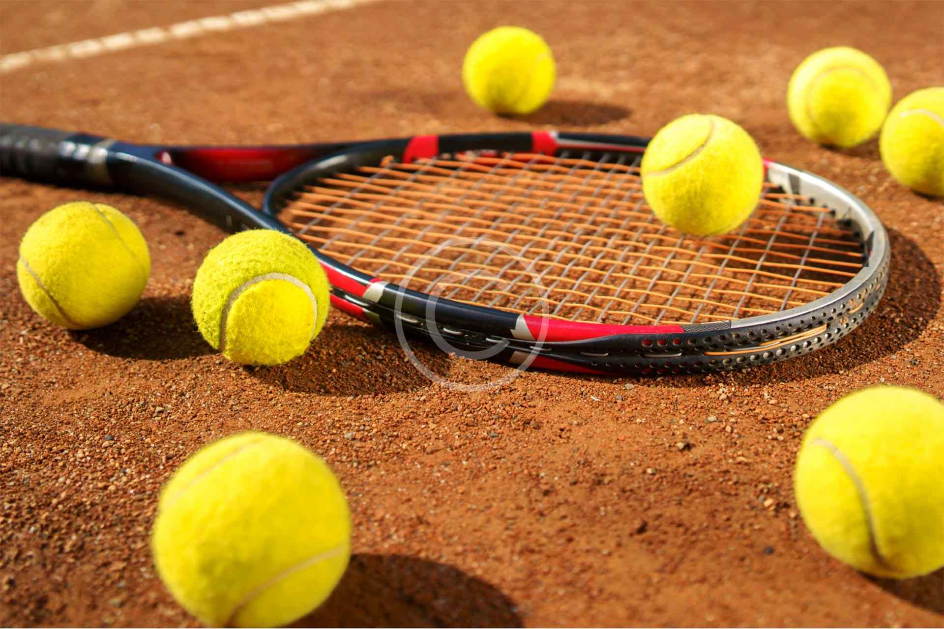 Licence Padel